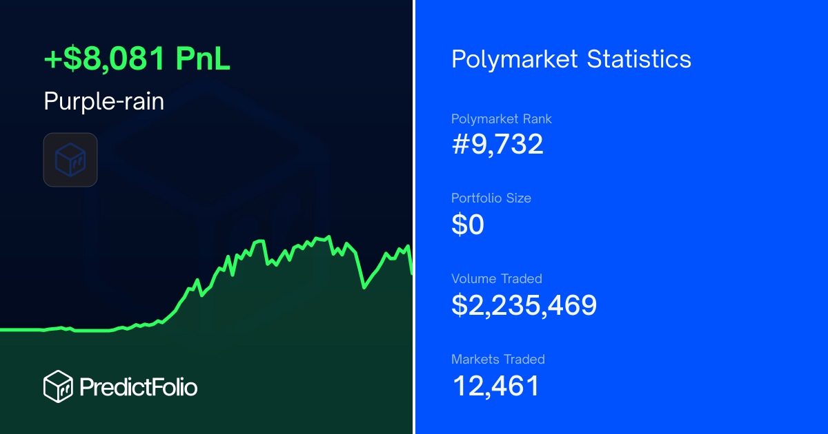 Purple-rain Polymarket trader: PnL and positions