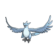 RiskIsForLosers Polymarket trader avatar